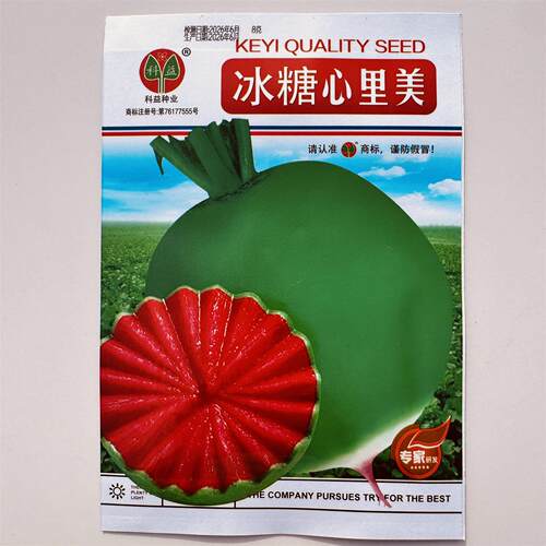 红心萝卜种子冰糖心里美绿皮红肉萝卜皮薄生食甜脆小菜园秋播萝卜