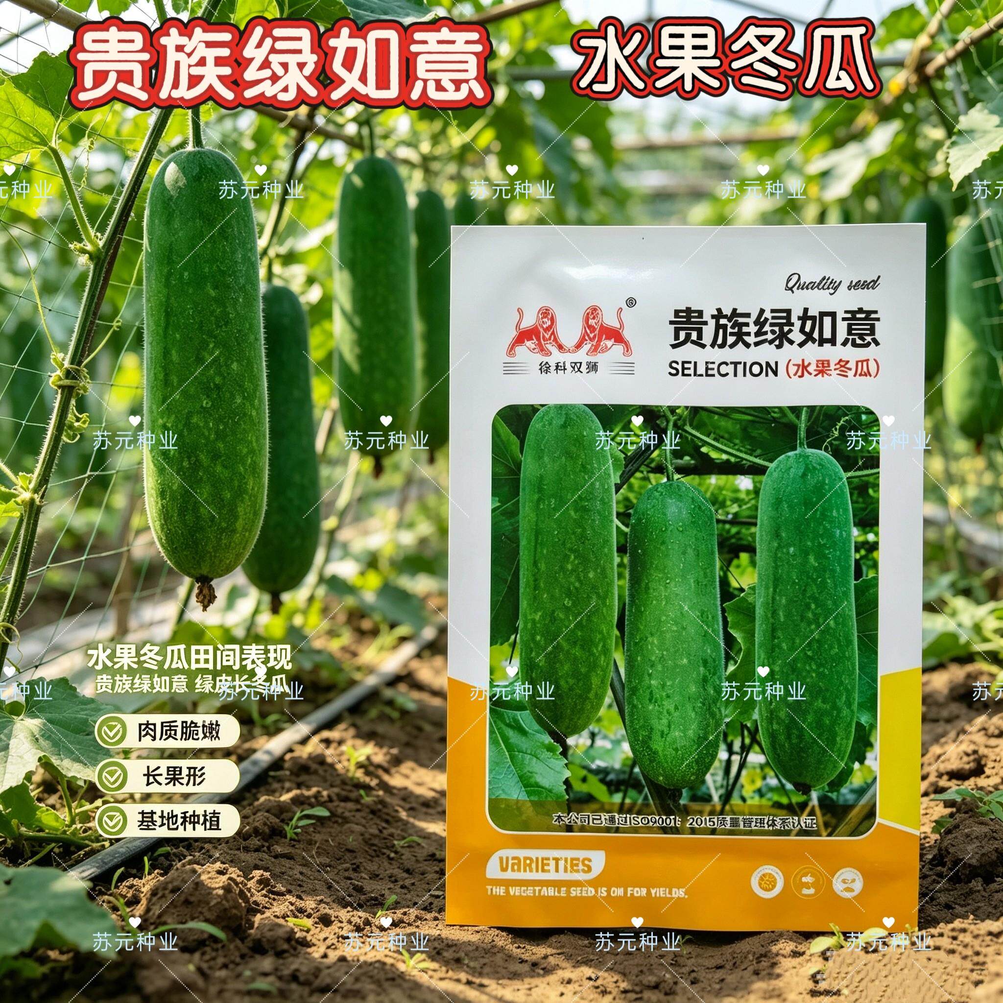 徐科贵族绿如意冬瓜种子早熟果肉绿色口感脆甜耐储运坐果能力强