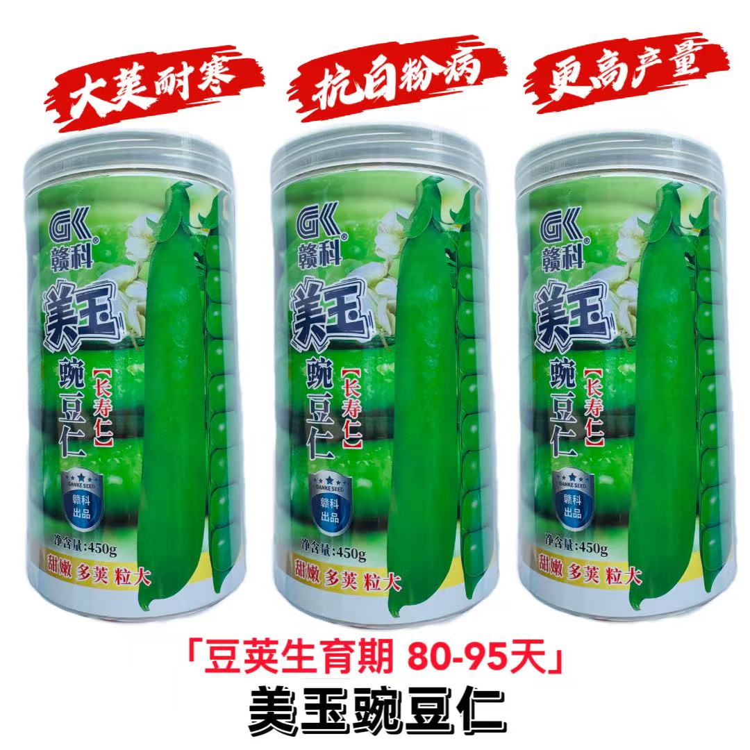 赣科美玉豌豆仁长寿仁种子蔓生大粒高产豌豆种籽开白花甜豌豆种子