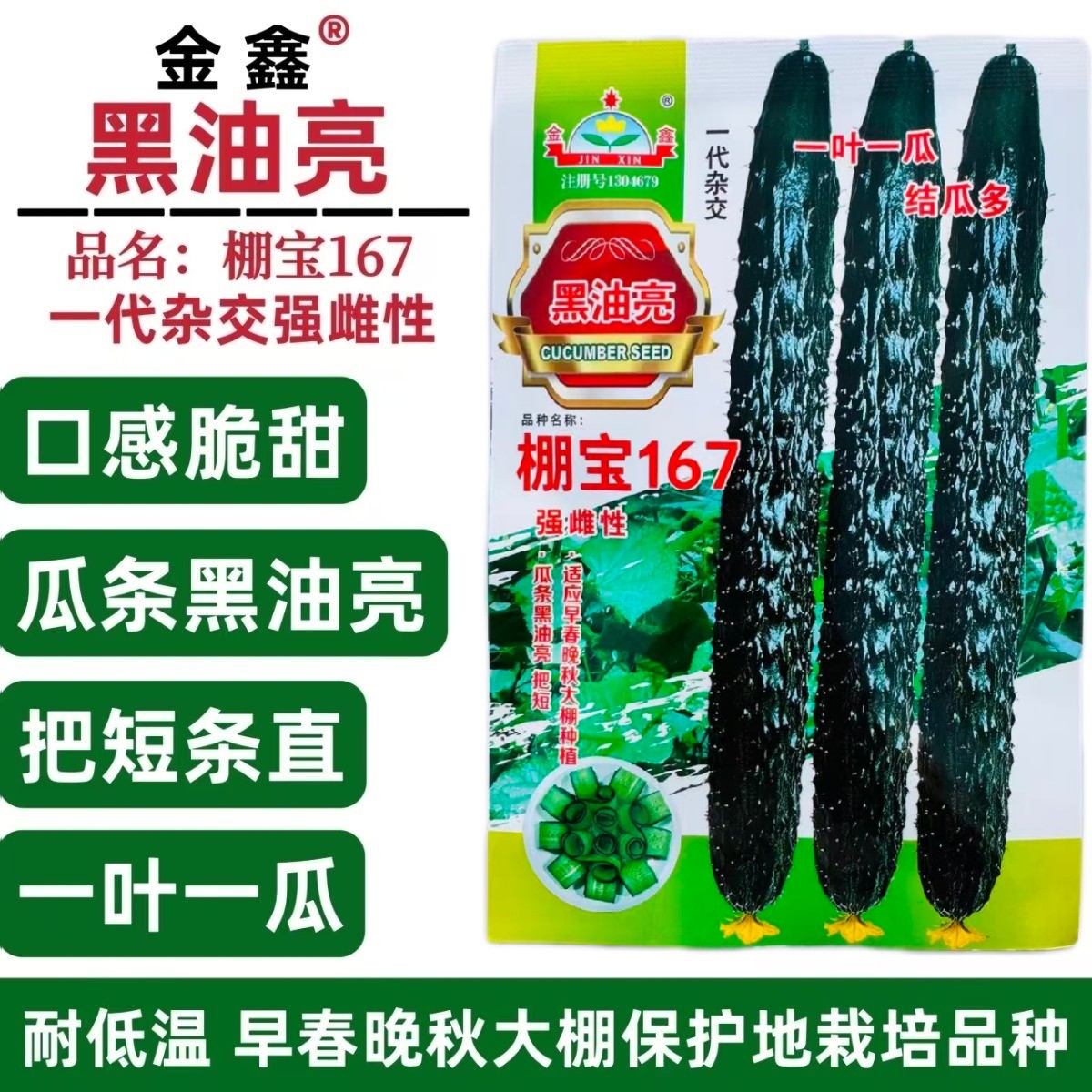 黑油亮棚宝167黑油亮强雌黄瓜种子早熟短把耐低温早春晚秋棚种植