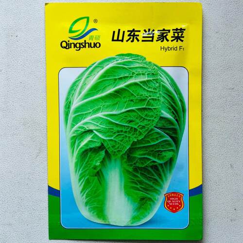 山东当家菜种种子秋冬季高产抗病大白菜种籽农家蔬菜种子
