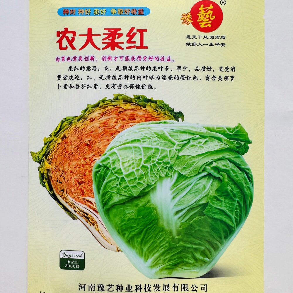 豫艺农大柔红大白菜种子橘红心结球白菜种籽农家秋季播种蔬菜种孑