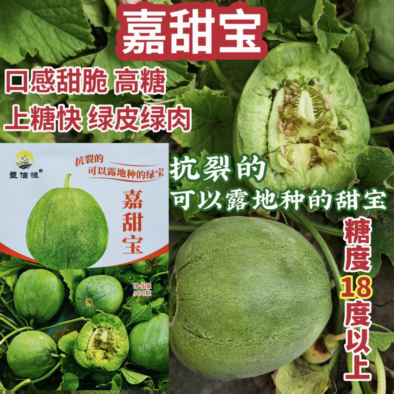 丰信恒甜瓜种子绿皮绿肉甜脆嘉甜宝绿宝甜瓜种子抗裂高糖露地大棚