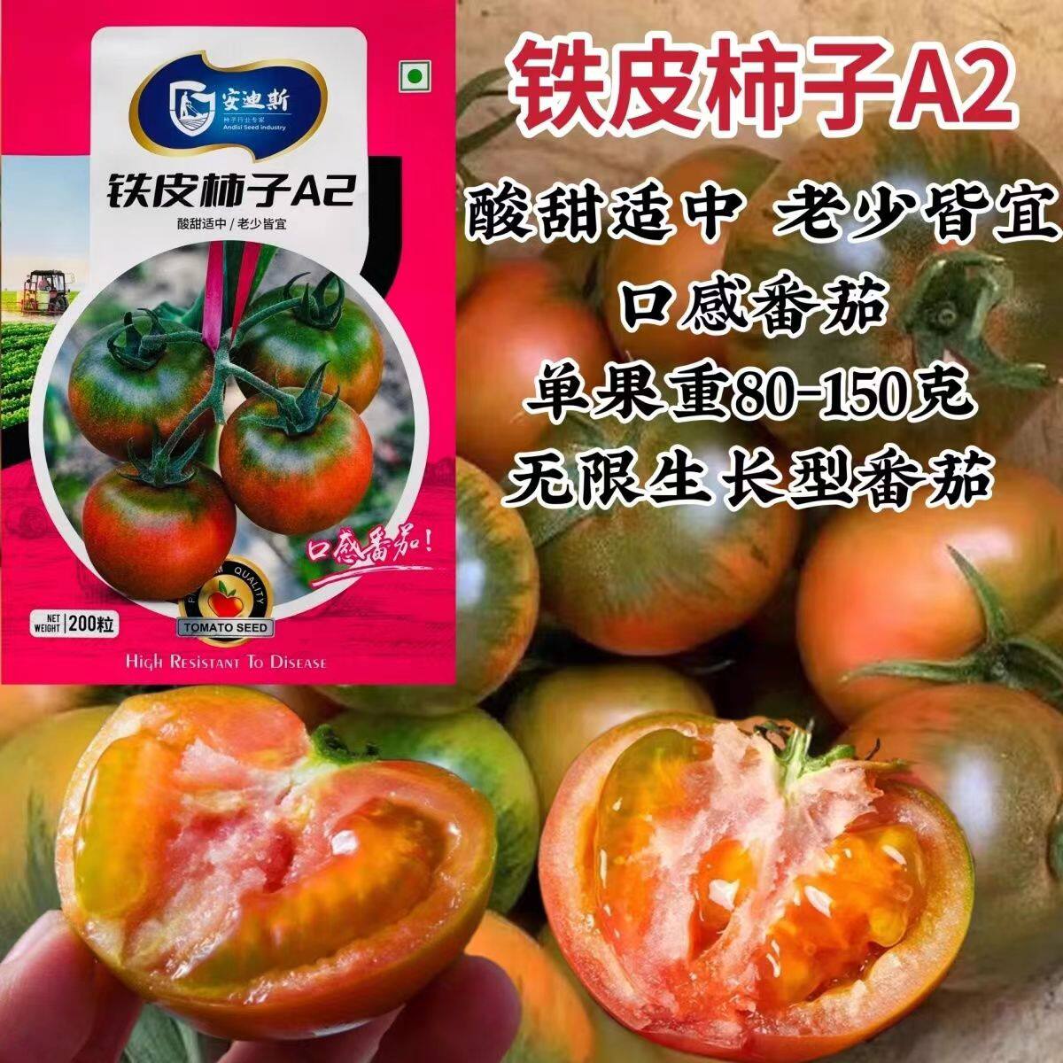 东北老品种铁皮柿子种子口感番茄种子北方西红柿种子高秧酸甜好吃