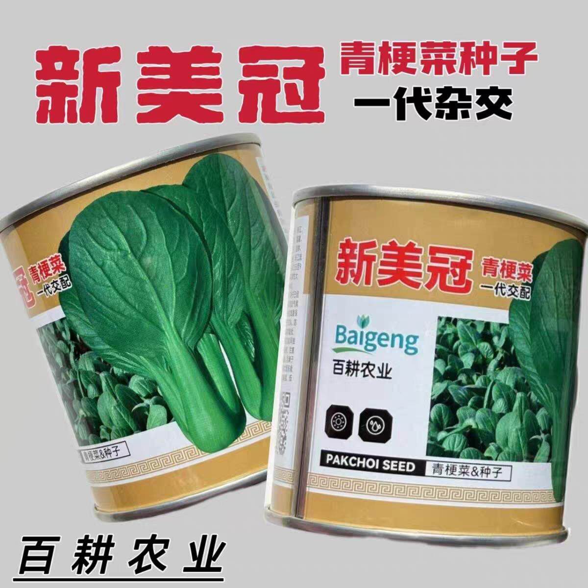 新美冠青梗菜种子早熟速生直立肥厚耐热耐寒耐湿绿叶绿帮青菜种子