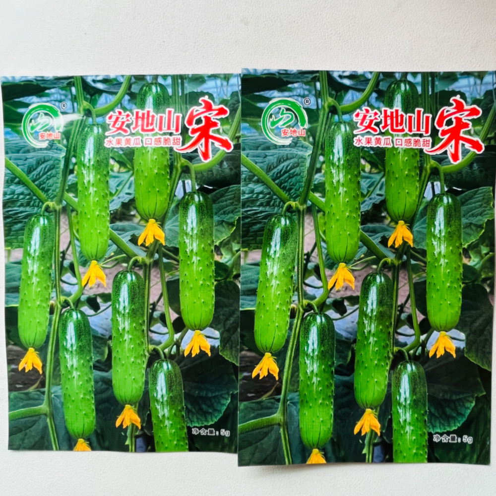 宋水果黄瓜种子旱黄瓜强雌节节瓜无苦味甜脆嫩黄瓜种籽