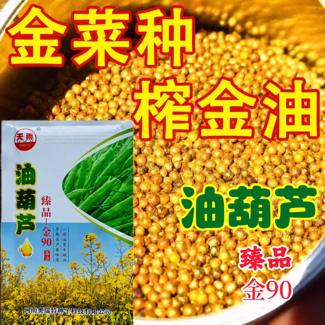 臻品油葫芦早熟大粒纯黄籽榨油油菜花种子出油多抗倒伏丰产性好