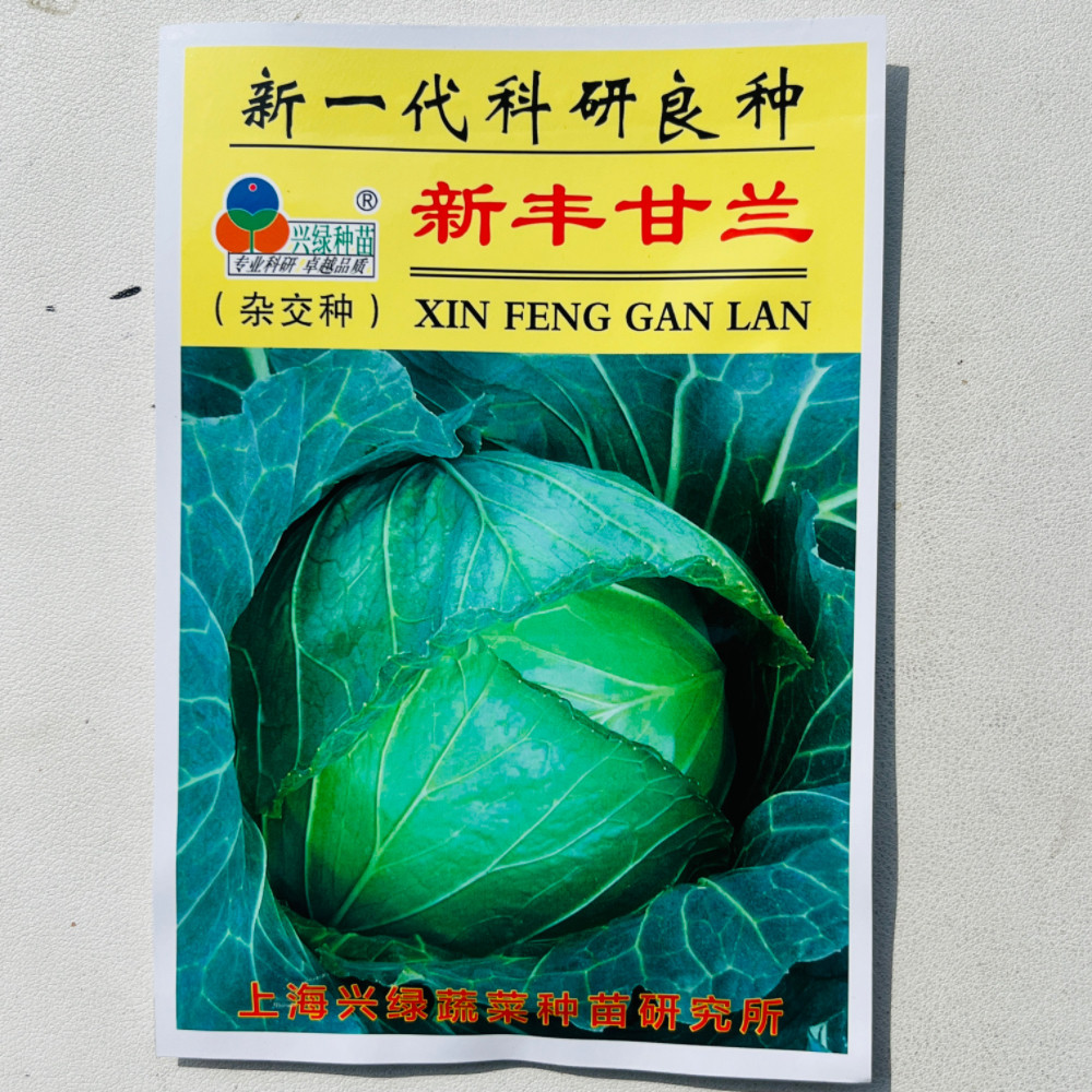 绿甘蓝种子早熟圆甘蓝种子肉质甜脆不易裂球卷心菜种子秋季种甘蓝