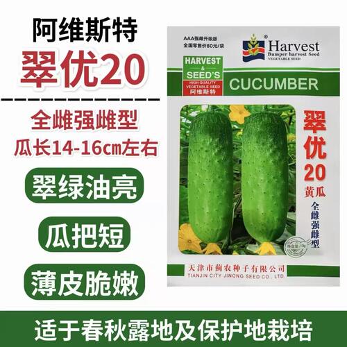 翠优20水果黄瓜种孑强雌全雌水果黄瓜青瓜种子耐低温 耐高温高产