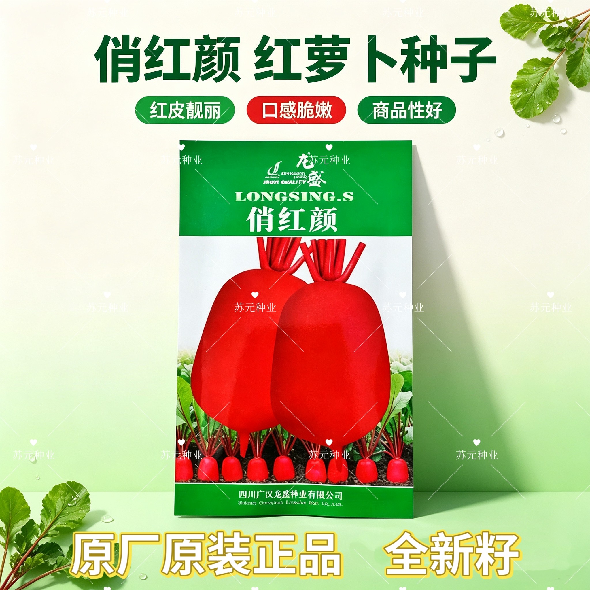龙盛俏红颜红萝卜种子红皮白肉脆嫩多汁春秋播种红皮萝卜蔬菜种籽