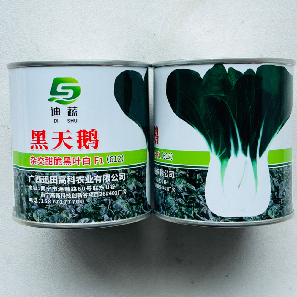 黑天鹅杂交黑叶白小青菜种子小白菜种籽高产抗病耐热耐寒蔬菜种孑