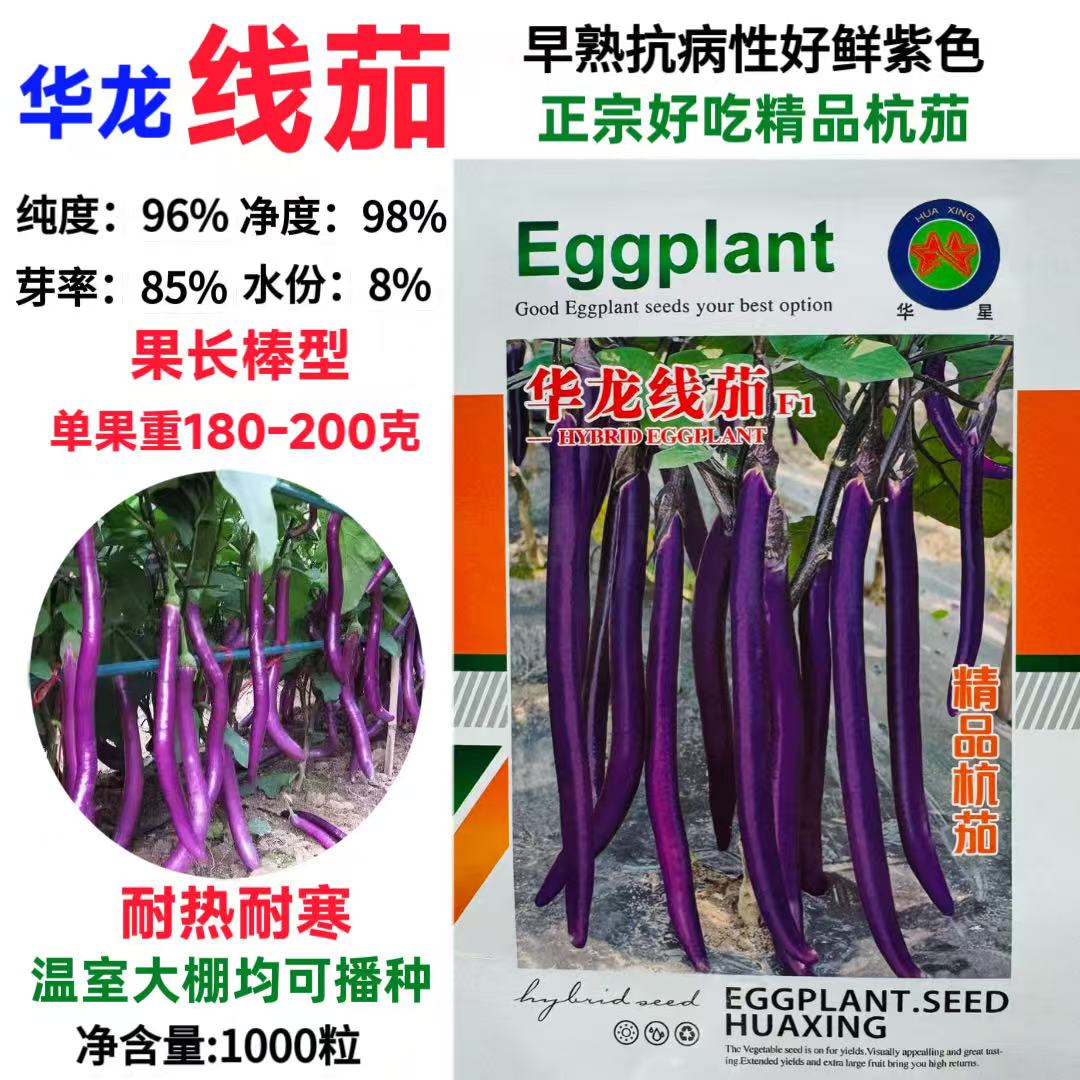 华龙线茄F1种子精品杭茄紫长线茄耐热耐寒抗病大田蔬菜种籽紫红茄