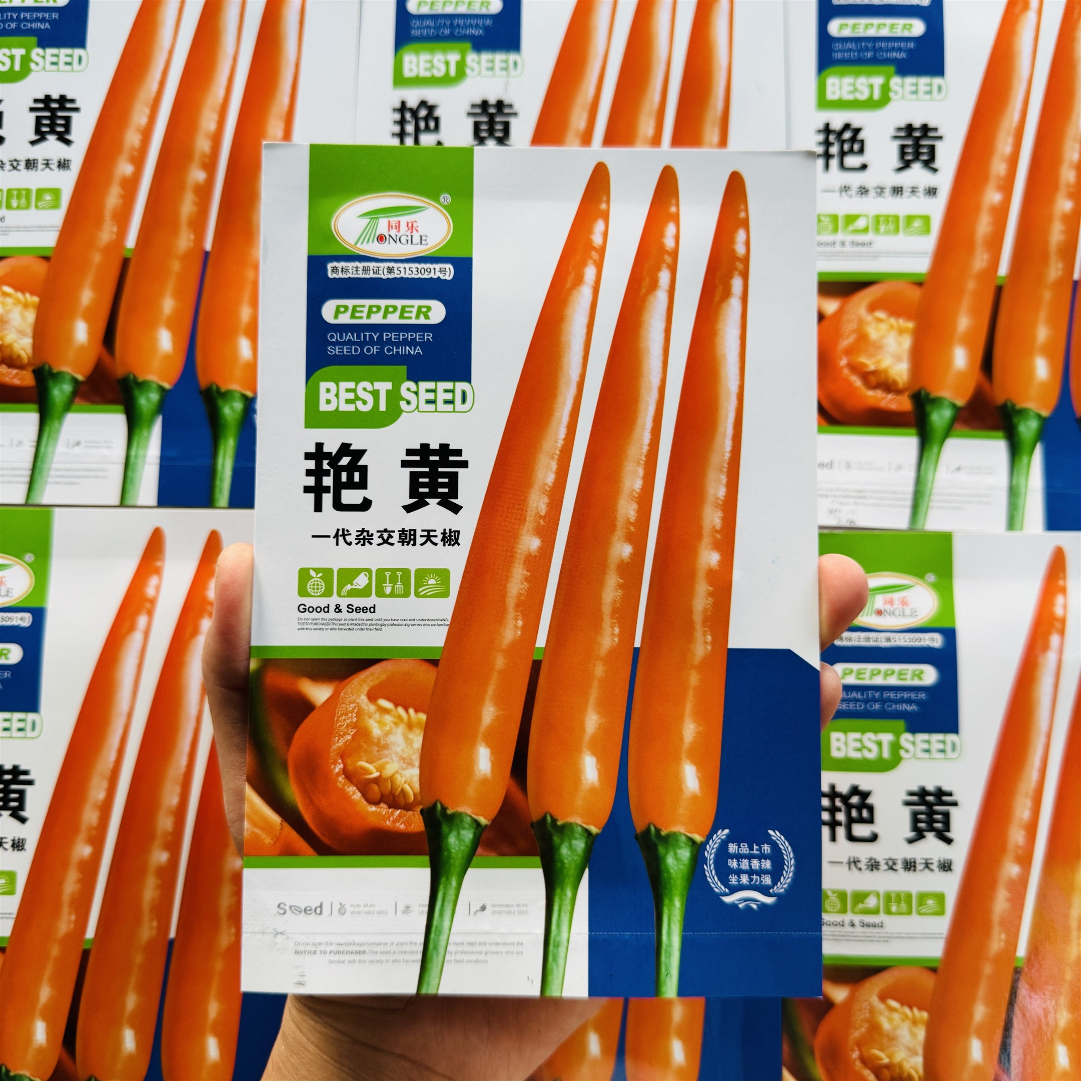 艳黄朝天椒黄辣椒黄米椒黄贡椒高产辣椒种子每袋5克约1000粒