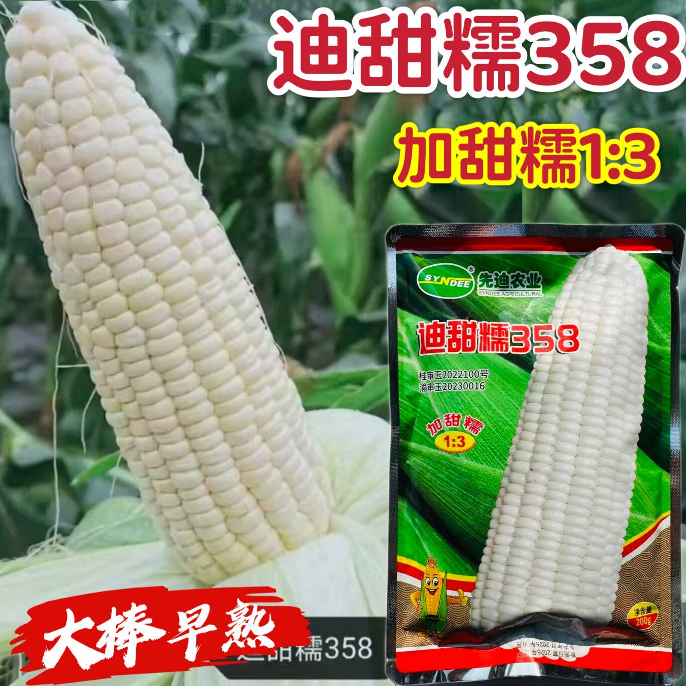 先迪农业迪甜糯358玉米种子鲜食玉米种籽白色加甜糯玉米种子大棒