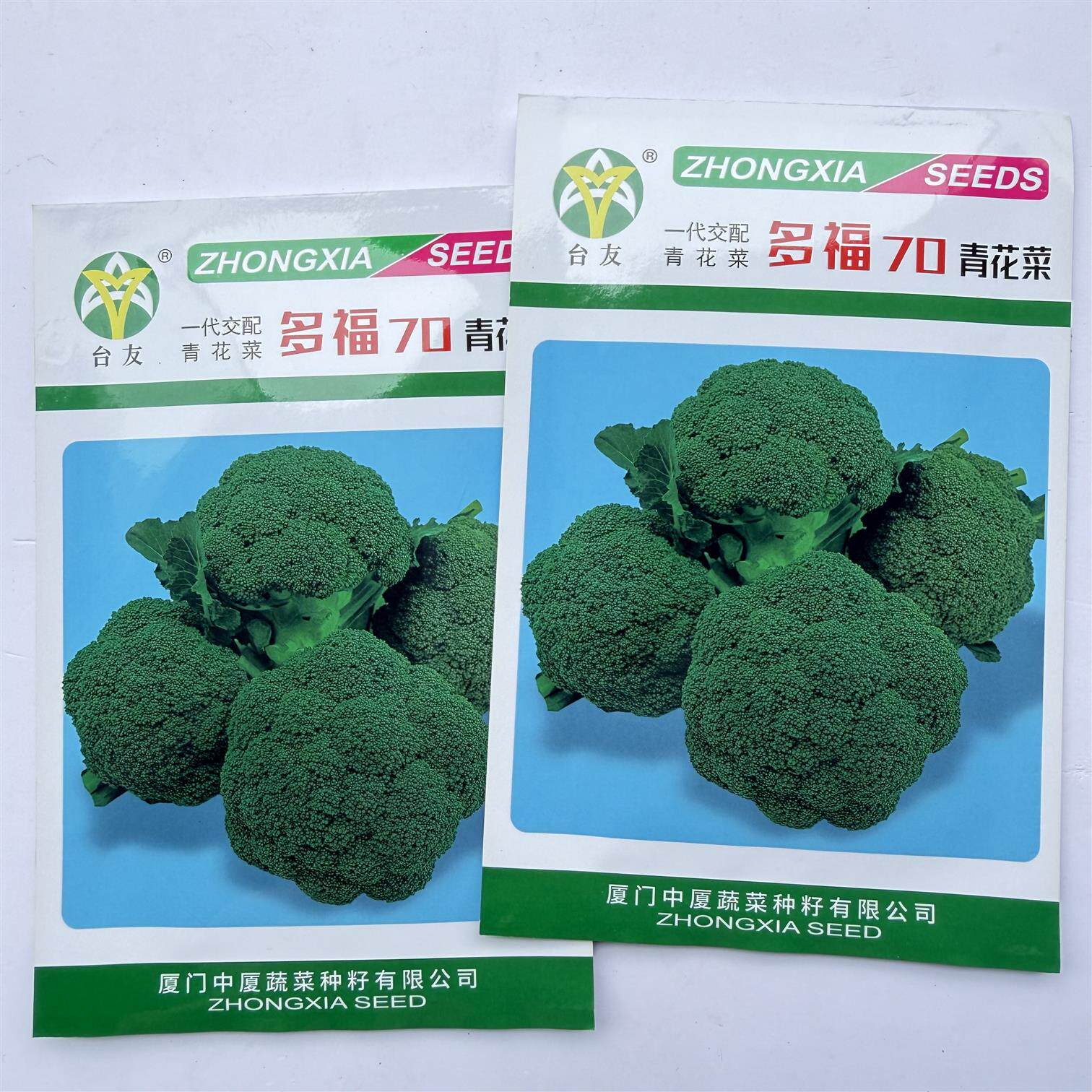 多福70青花菜种子中早熟小粒花椰菜种籽春秋播西兰花种子