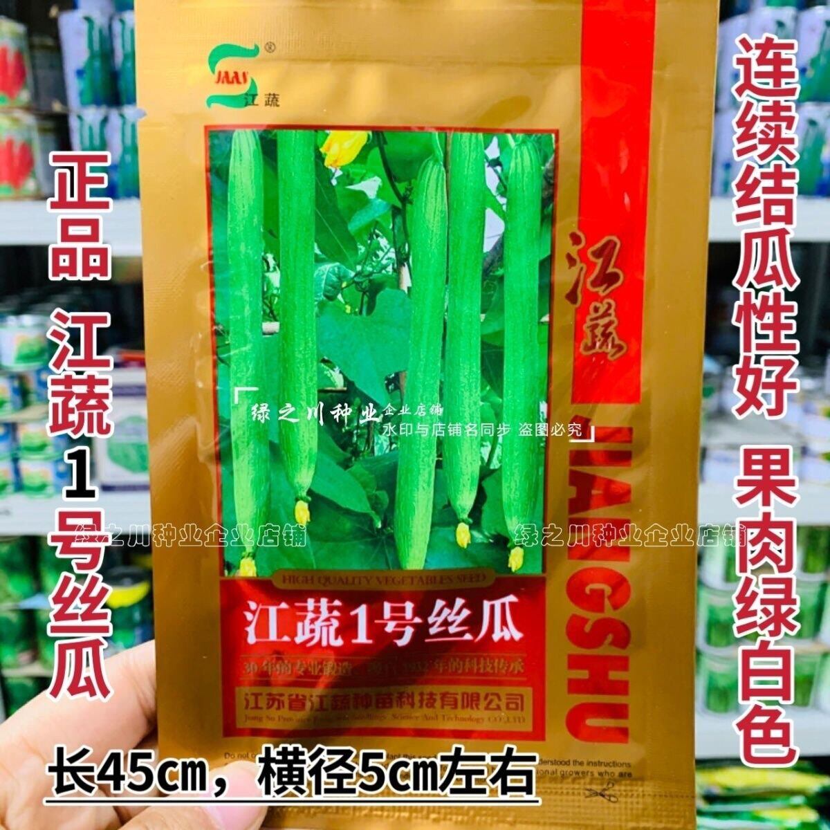 江苏农科院一号丝瓜种子特长丝瓜种籽耐低温坐果多果肉白绿色