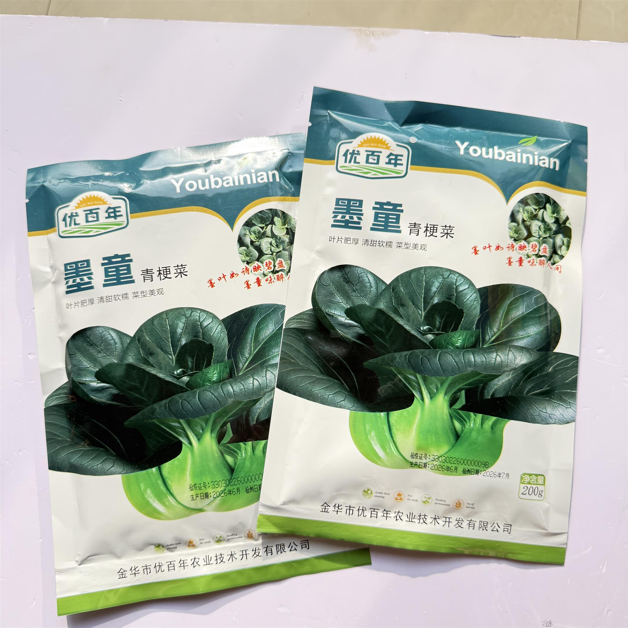 墨童黑叶油亮矮脚青梗菜种子大头束腰清甜软糯杂交抗病耐低温春秋