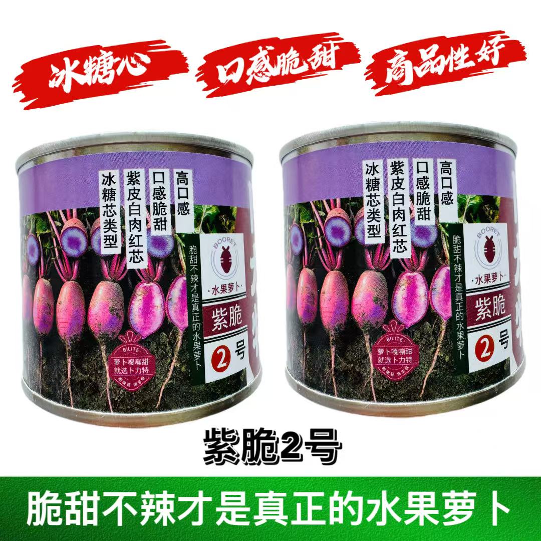卜力特水果萝卜紫脆2号萝卜种子冰糖心紫皮白肉红芯甜脆不辣萝卜