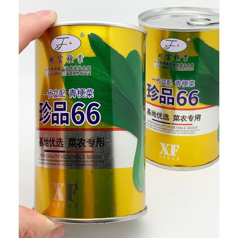 晓富珍品66青梗菜种子高产耐热耐湿夏季上海青好吃油菜种子100克