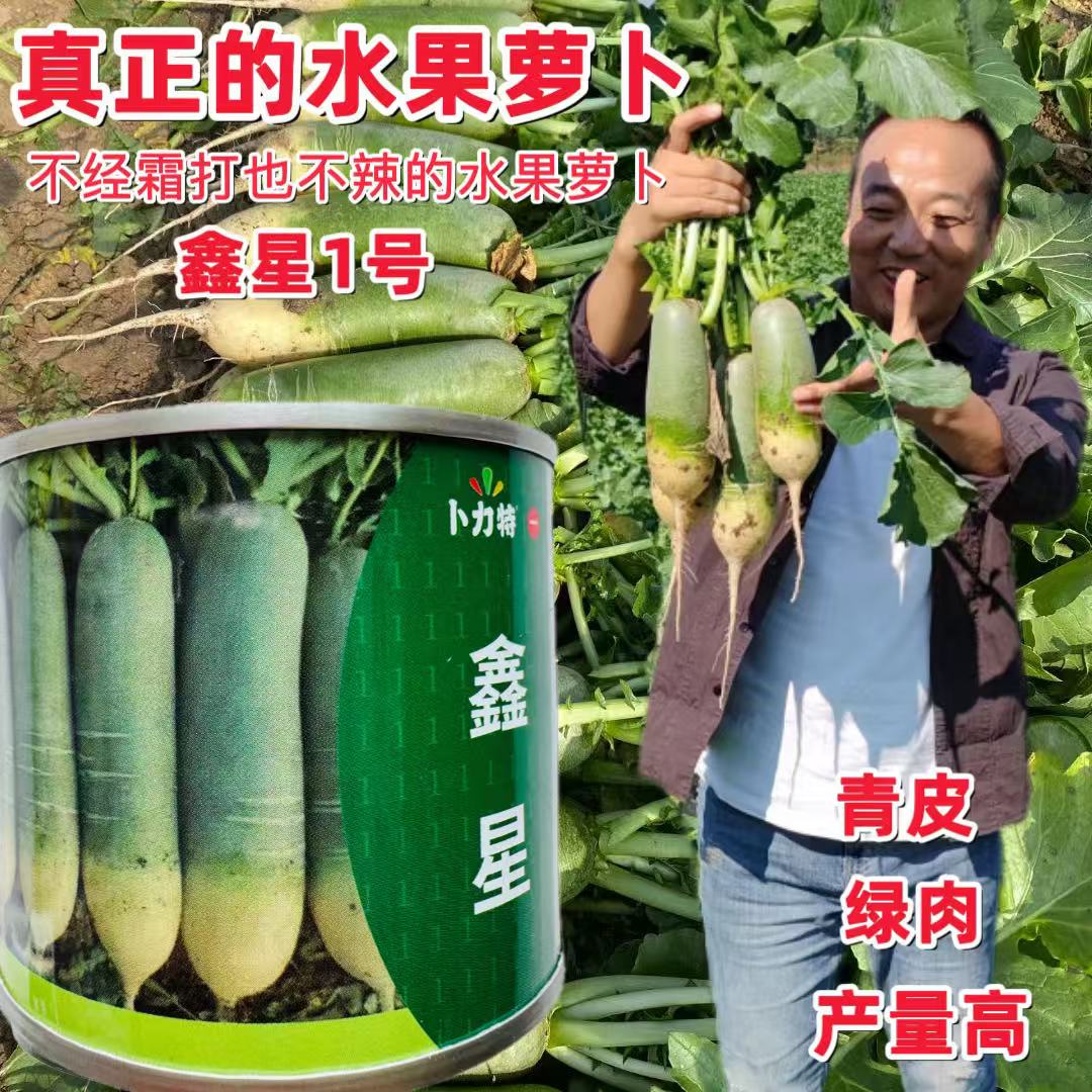 鑫星一号水果萝卜种子圆柱形大青萝卜种籽绿皮绿肉口感脆甜耐储存