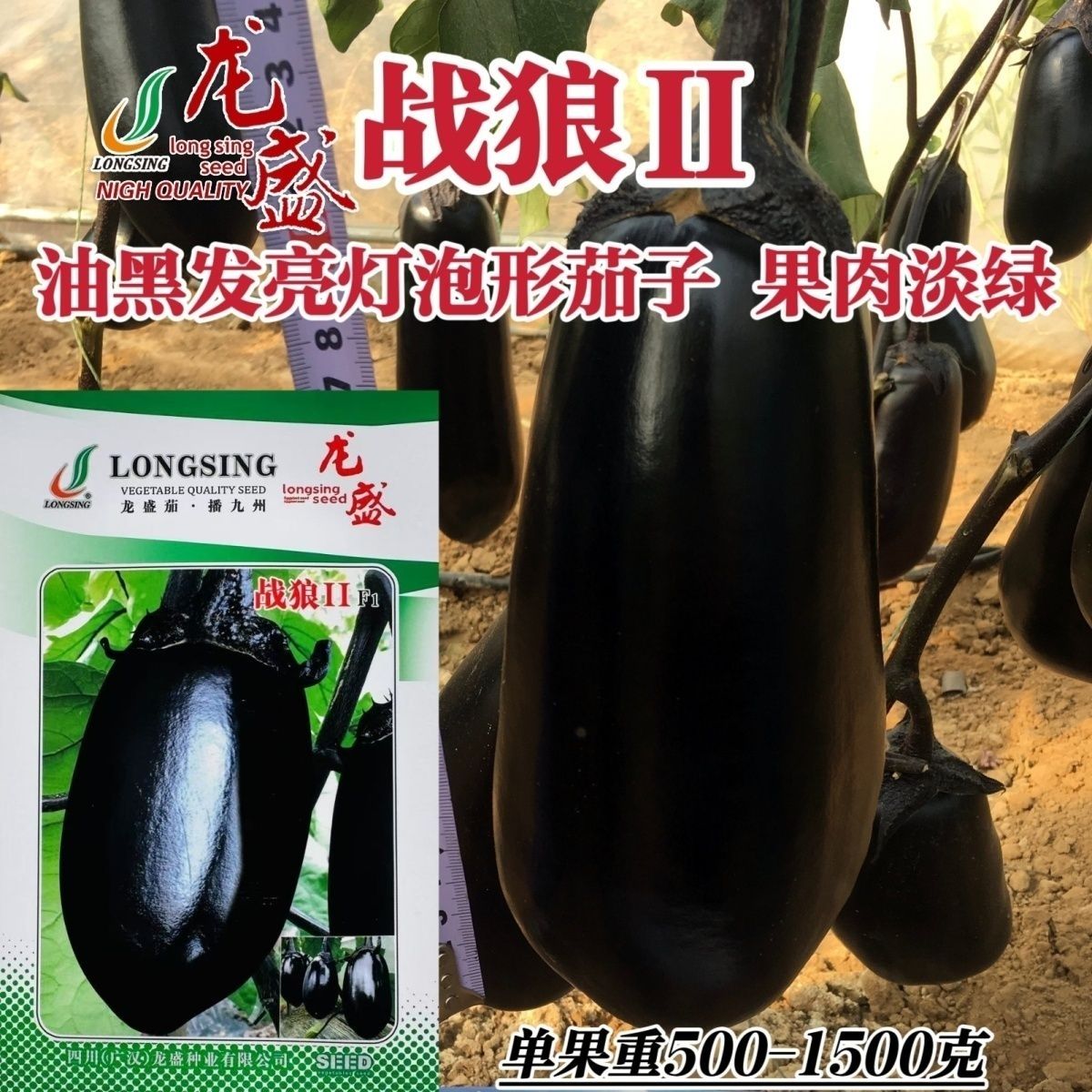 战狼2号灯泡茄种子油黑亮丽牛心茄种子绿肉特大黑茄子种籽早中熟