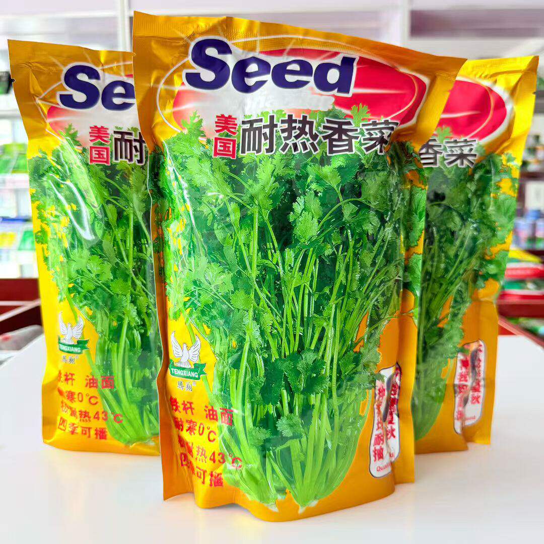 美国耐热香菜种子高产耐抽薹抗热43度农户夏季大面积种四季籽