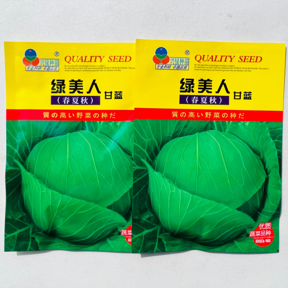 绿美人春夏秋甘蓝种子抗病耐热耐裂扁圆球卷心菜包菜种籽蔬菜种孑