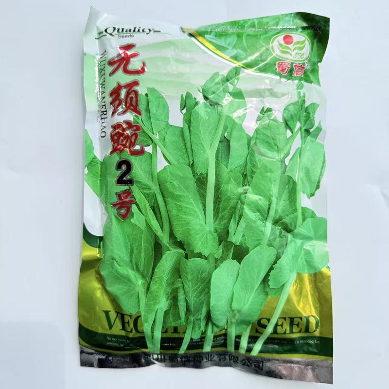 无须豌2号豌豆苗种籽四川蜀信种业白花脆甜农家秋冬季播蔬菜种子