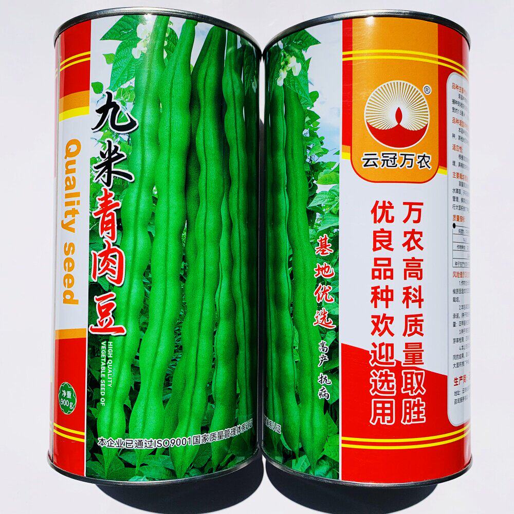 九米青肉豆种子抗病早熟耐热架豆四季豆种籽农家春秋季播
