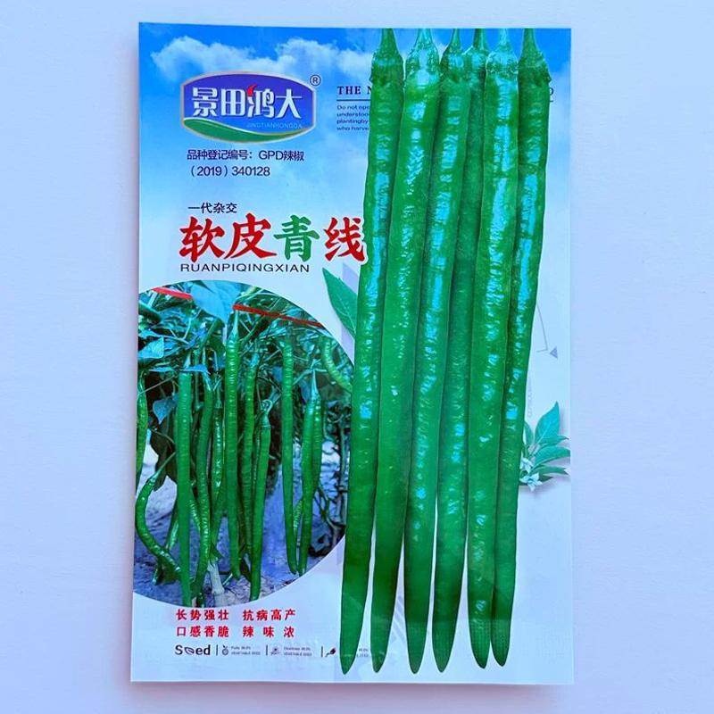 软皮青线椒种子中早熟高产抗病线椒种籽春秋播辣椒种籽蔬菜种