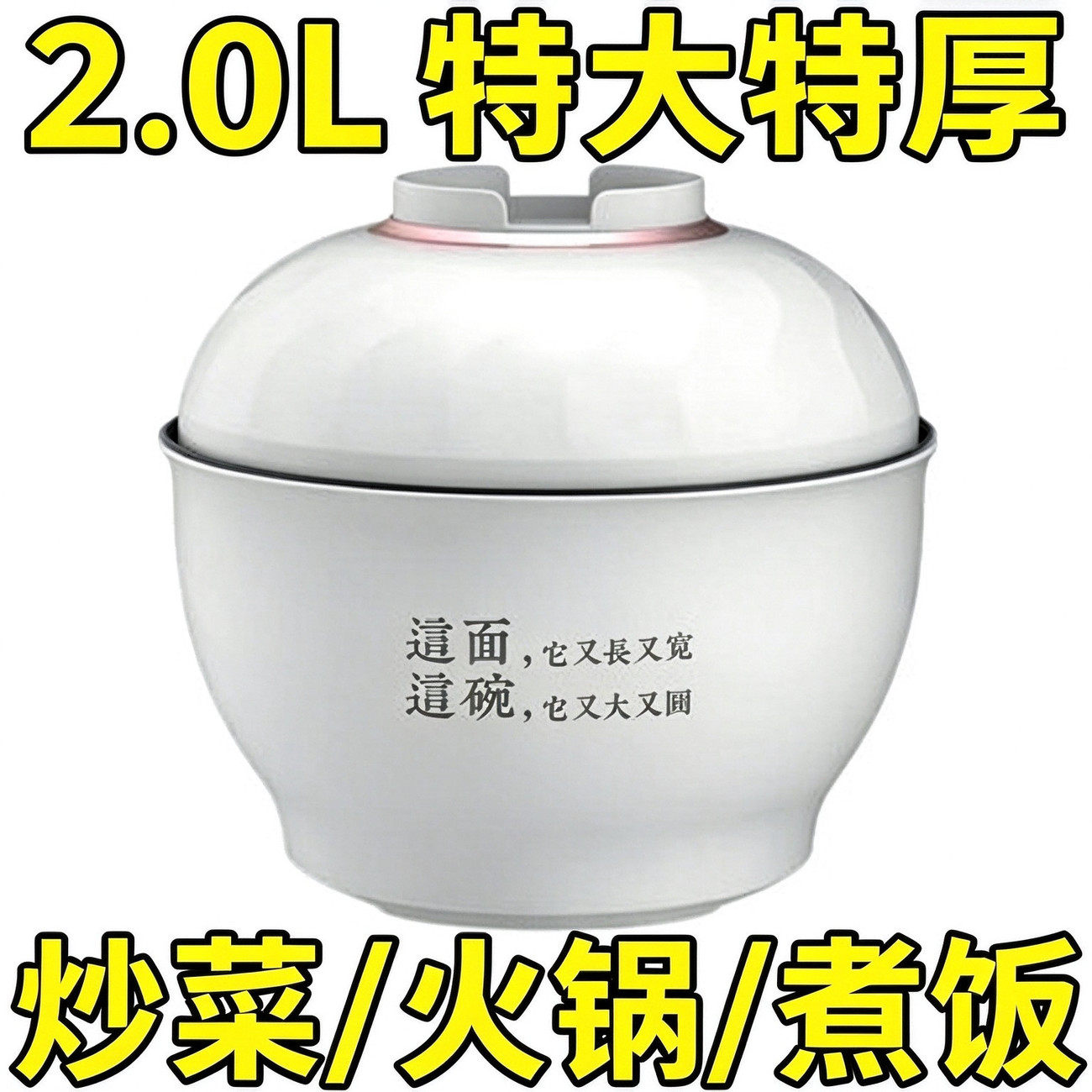 德国多功能旅行电煮锅宿舍家用蒸煮锅户外露营电炒锅电饭煲电炖锅