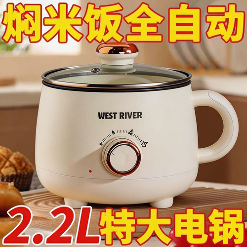 新款电煮锅学生宿舍锅多功能一体小型电锅煮饭炒菜锅家用电热火锅