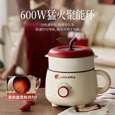 德国电煮锅学生宿舍锅多功能一体小型不粘电锅煮饭炒菜锅电热火锅