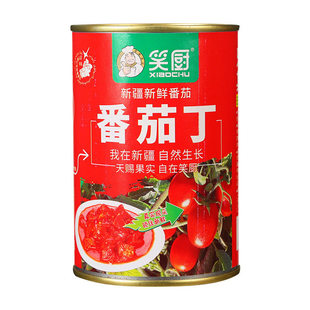 400g Pieces Tomato BulkCanned – Family Xiaochu