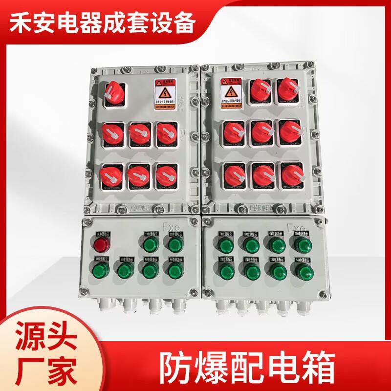 防爆配电箱接线箱动力柜控制箱动力照明控制柜检修电源防爆插座箱 - 实物图