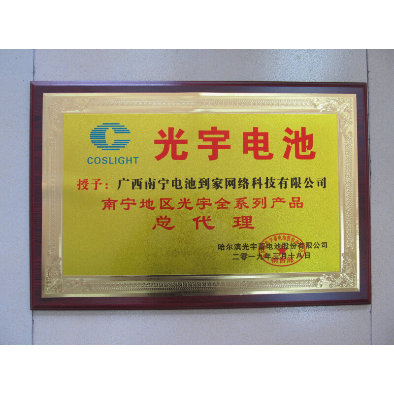 光宇60V20-22AH72V48V12A32A胶体黑金长跑王电动车电池电瓶