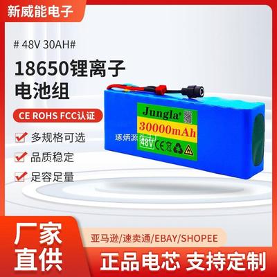 电动自行车电池48v30Ah18650锂离子电池组13串3并+充电器