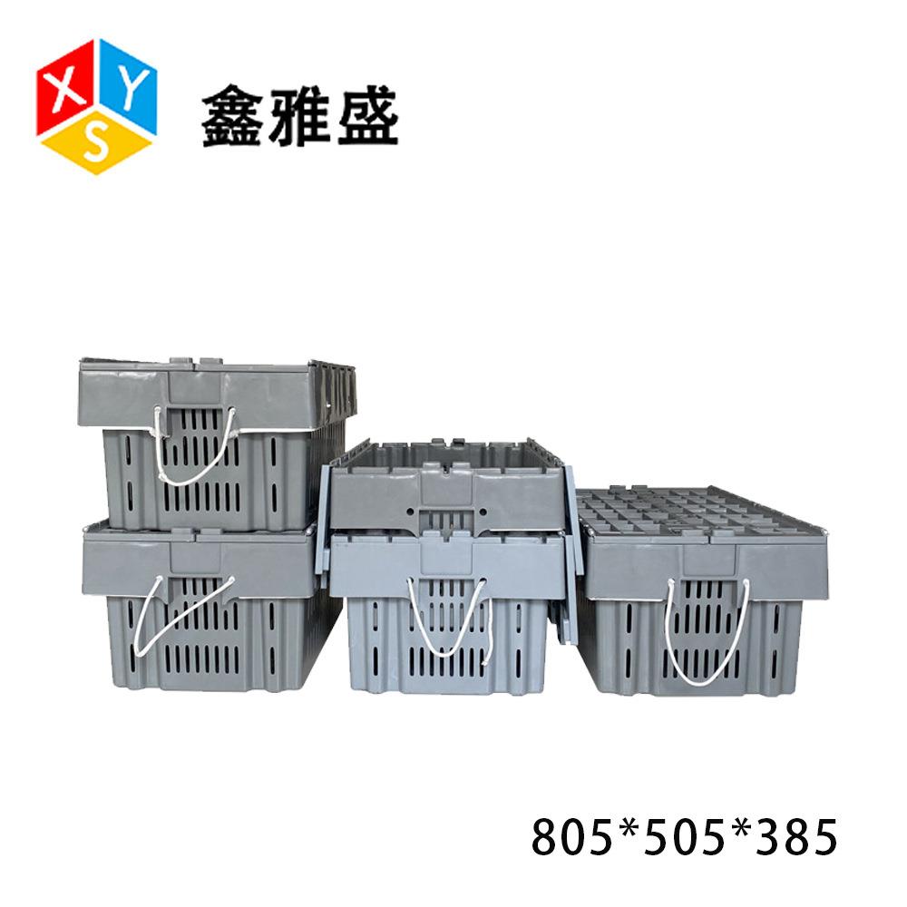 805*505*385澳龙养殖箱海鲜养殖周转一体周转筐斜插式物流中转箱