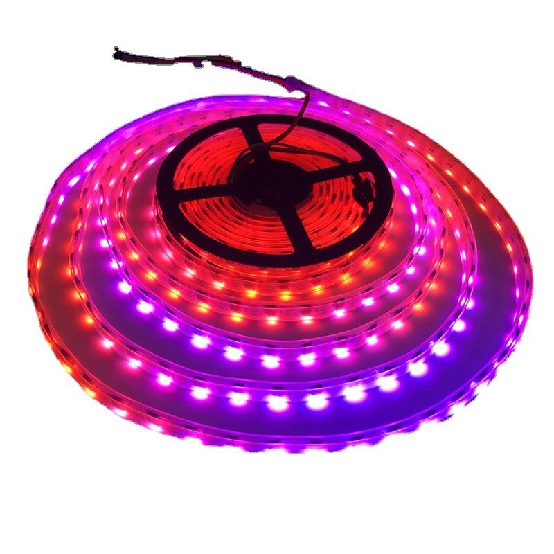 厂家直销led幻彩灯带 WS2811外置IC单点单控5050RGB低压5V灯带