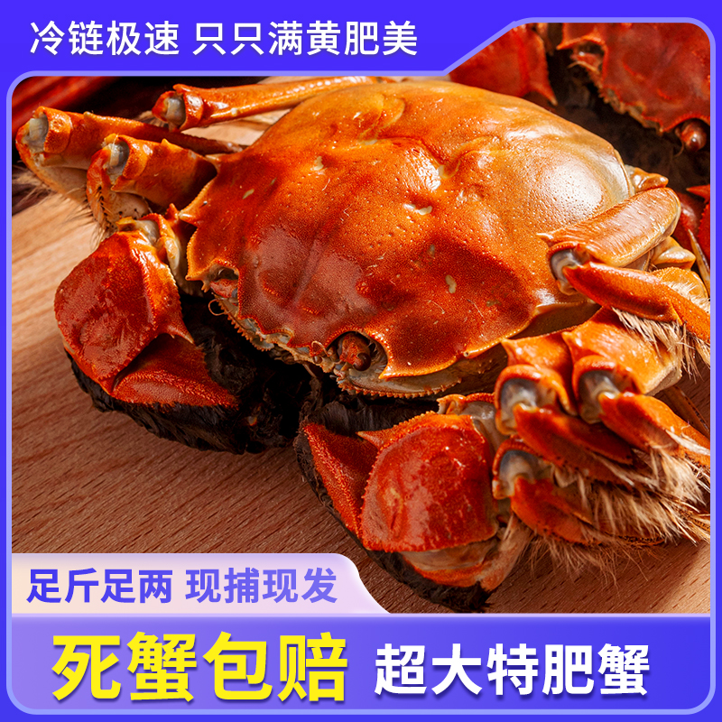 大闸蟹澄湖镇发货鲜活特大水产河蟹螃蟹散装苏州六月黄散装11号