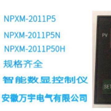 PWR-NPXM-2011P50H 智能数显控制仪 数字显示仪 规格型号齐全