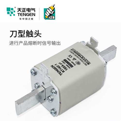 TENGEN天正 RT16Z-1直流熔断器体160A光伏熔芯200A陶瓷保险丝250A