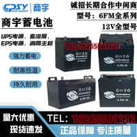 商宇FM/GW12100应急J1238备用电源/12V120AH7A17A20A24A65A蓄电池