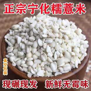 薏米新米福建宁化糯薏米新货500g意米薏米仁新鲜中药材官方旗舰店