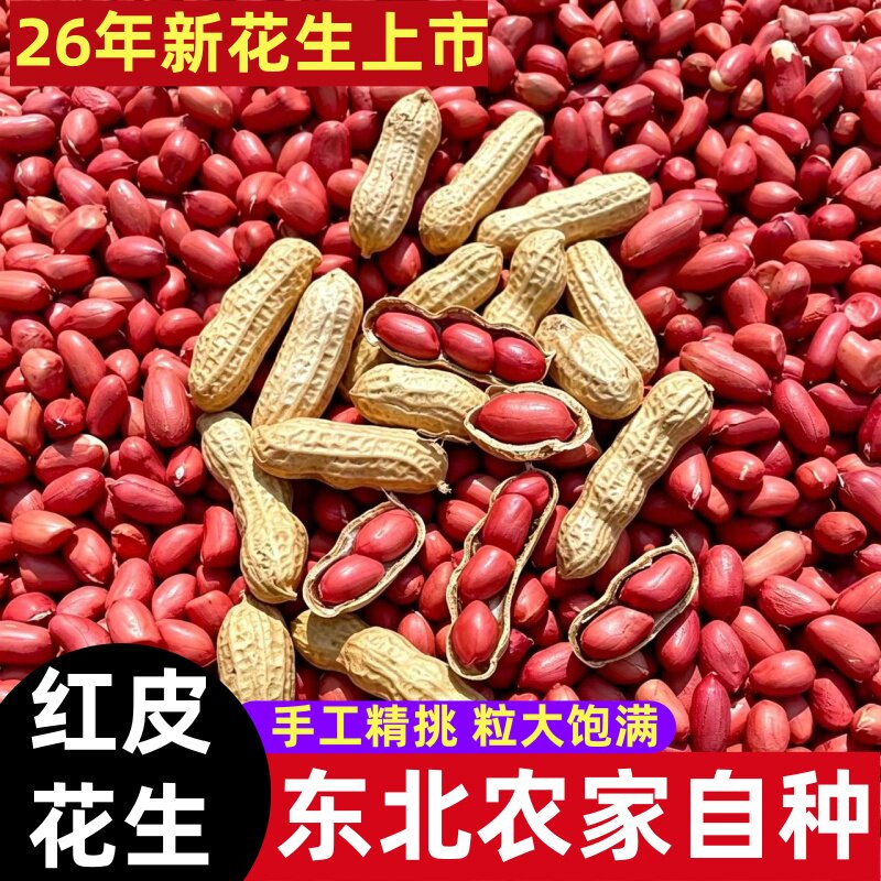 带壳红皮花生新货生花生东北红衣花生农家自种带壳四粒红皮花生