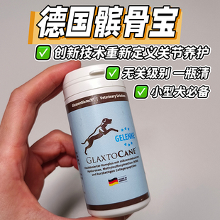 德国髌骨宝小型犬猫专用先天性退行性髌骨脱位腰椎髋关节骨刺