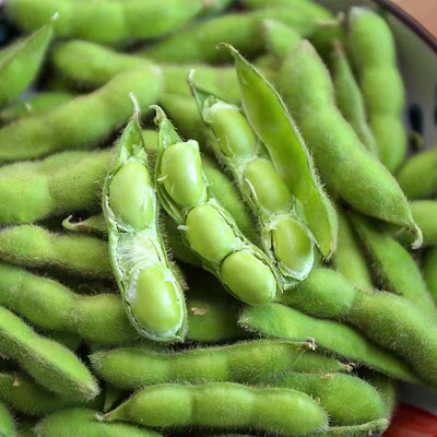 新鲜毛豆带壳四川农村自种蔬菜青豆角毛豆荚