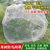 防鸟罩防鸟用网防虫纱网加密果树套树罩防鸟神器大棚专用防鸟纱网