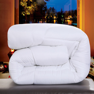 特价 包邮 白色美容床罩专用单人丝棉被芯床垫床单批