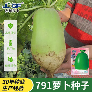 791罐萝卜种籽 秋季种半白半青水果萝卜种孑农家菜园四季蔬菜种子